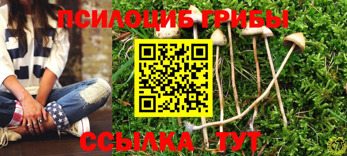 Псилоцибиновые грибы мицелий Шадринск